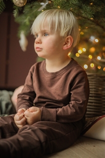 BIRKHOLM Sweatshirt Kastanje Brun